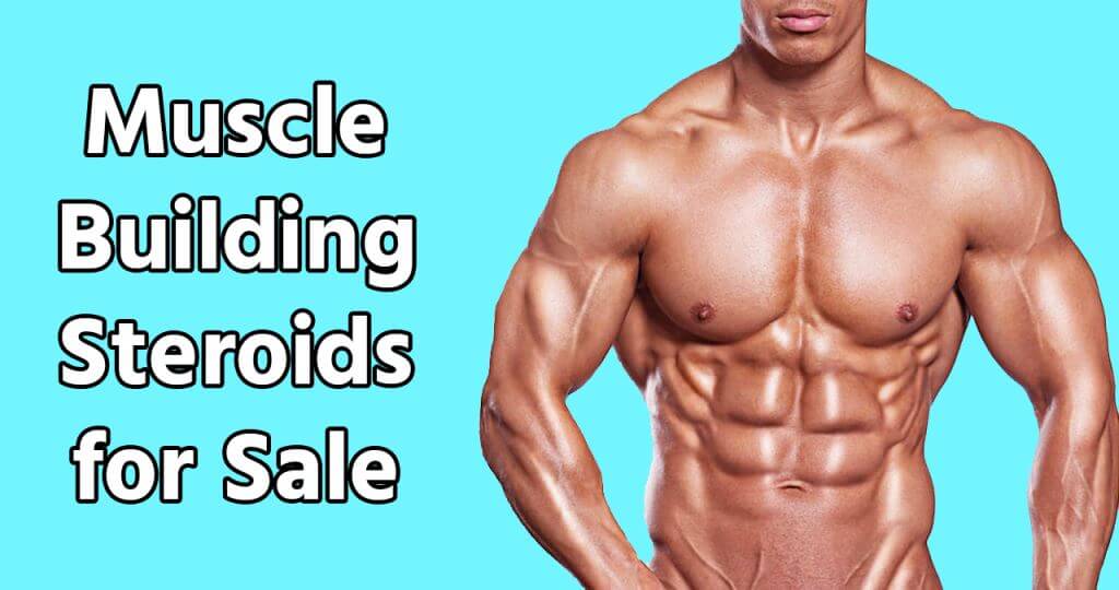 Muscle building steroids for sale